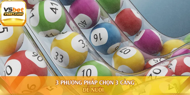3 phương pháp chọn 3 càng để nuôi