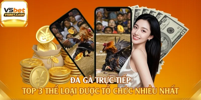 Đá Gà Trực Tiếp