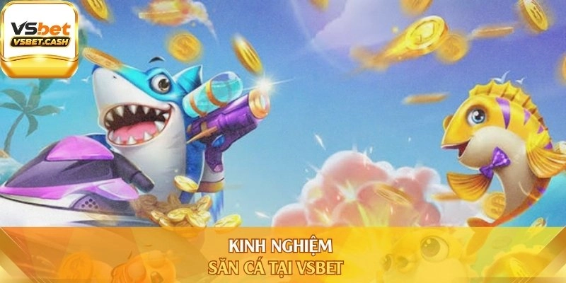 Kinh nghiệm săn cá tại Vsbet