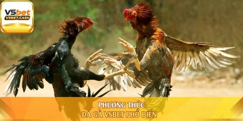 Phương thức đá gà Vsbet phổ biến