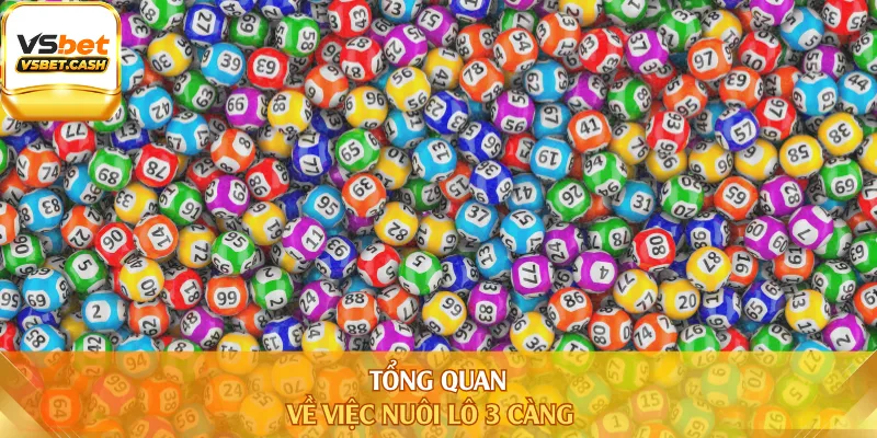Tổng quan về việc nuôi lô 3 càng